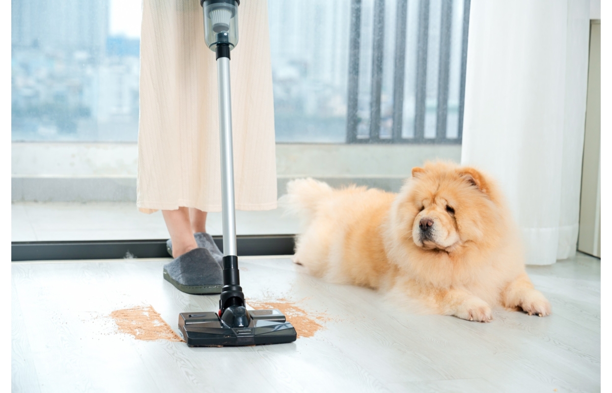 Chụp Ảnh Sản Phẩm EASYR