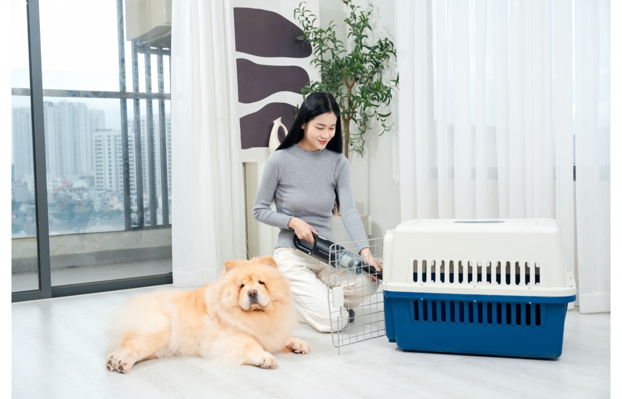 Chụp Ảnh Sản Phẩm EASYR