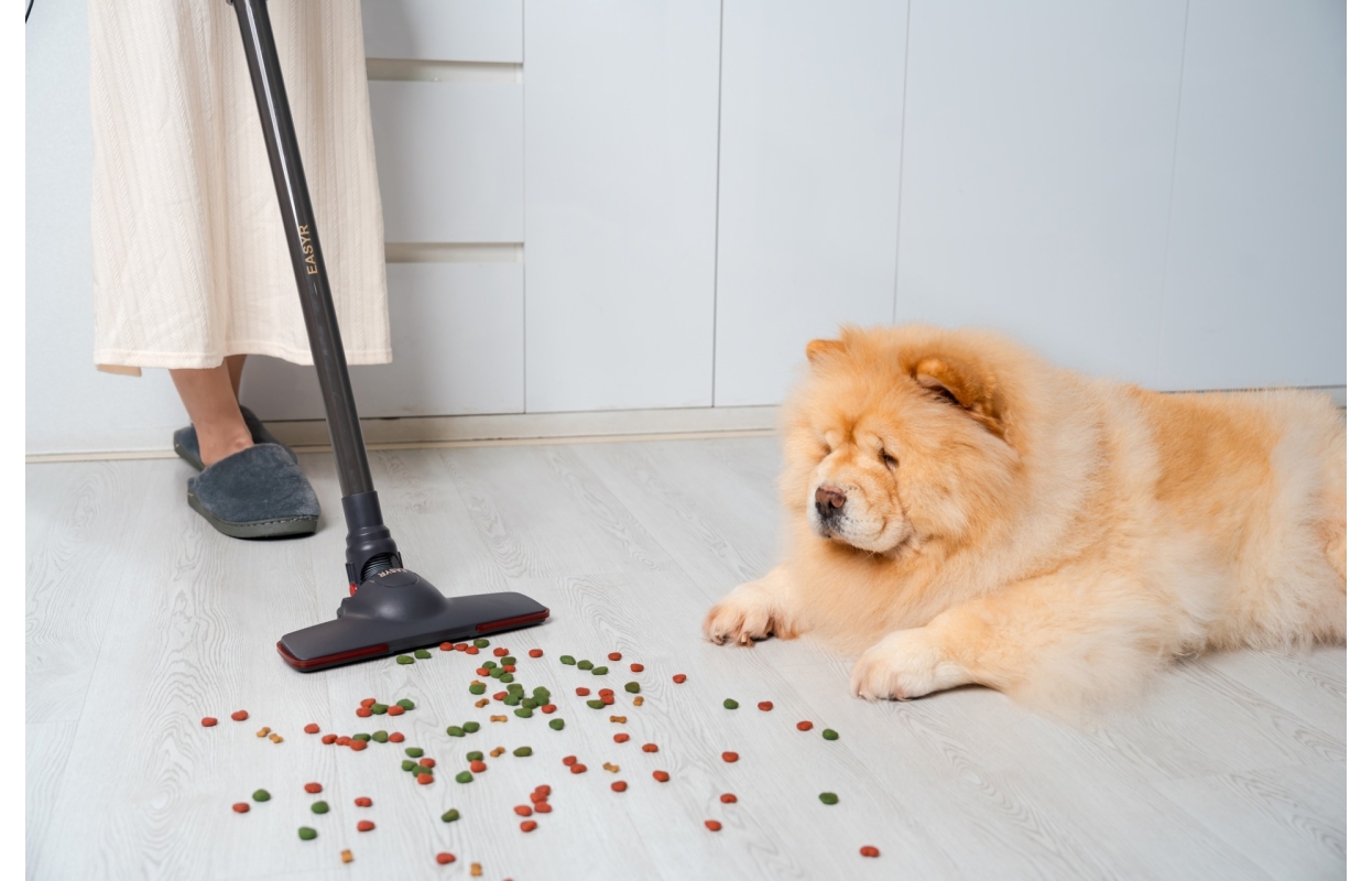 Chụp Ảnh Sản Phẩm EASYR