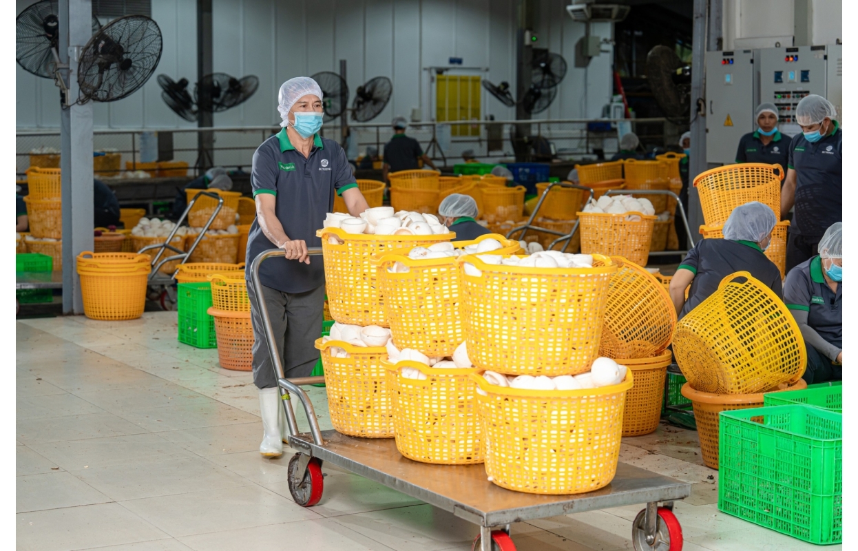 Ảnh Profile Betrimex