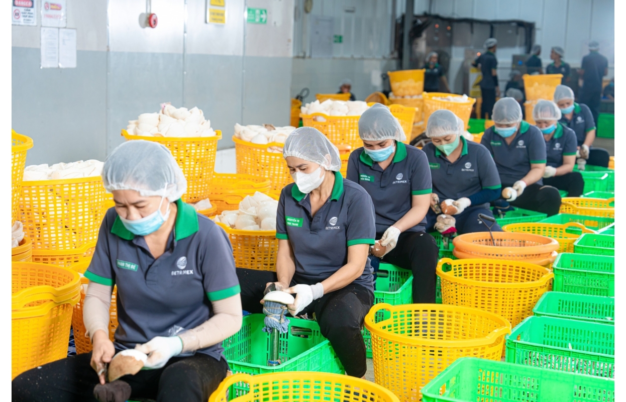 Ảnh Profile Betrimex