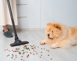 Chụp Ảnh Sản Phẩm EASYR