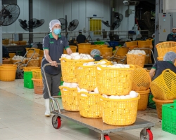 Ảnh Profile Betrimex