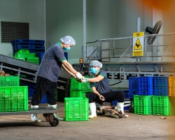 Ảnh Profile Betrimex