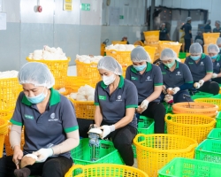 Ảnh Profile Betrimex