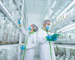 Ảnh Profile Betrimex